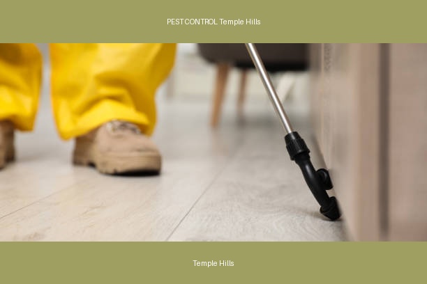 PEST CONTROL Temple Hills